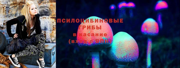 амфетамин Алексин