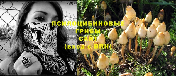стафф Михайловка