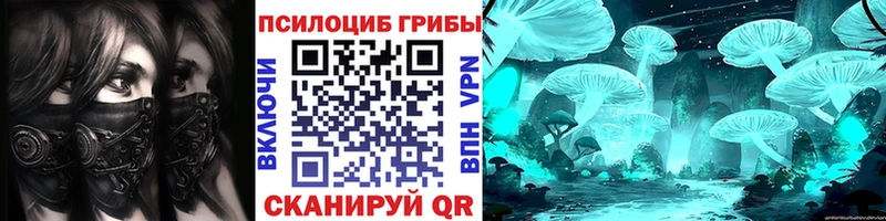 Псилоцибиновые грибы Psilocybe  купить наркотики сайты  Северодвинск 