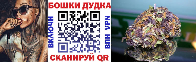 Бошки Шишки марихуана  Северодвинск 